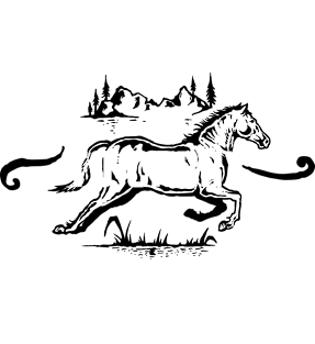 Horses - Four legs, Big Hearts Magnet