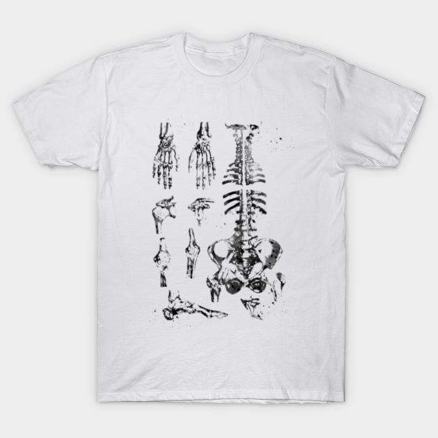 Discover Human bones - Human Bones - T-Shirt