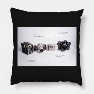 Don't call me a Packrat Call me a Camera Collector Pillow
