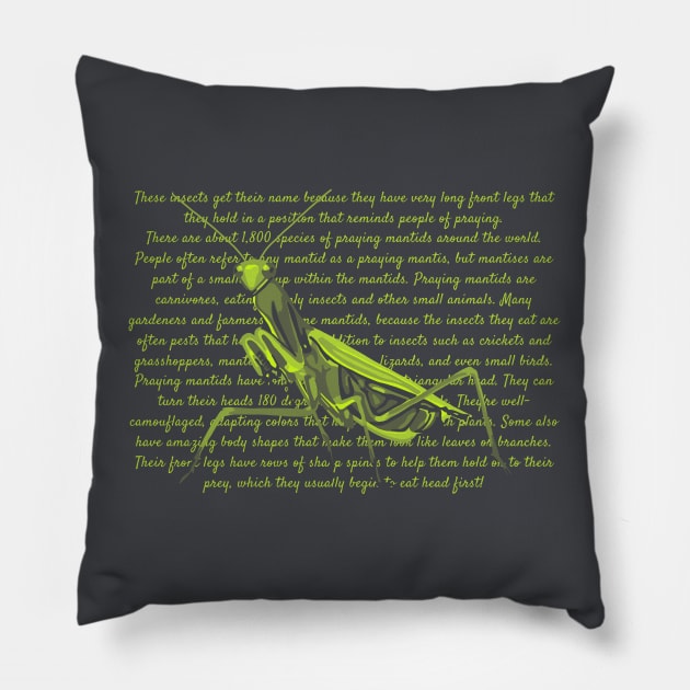 Praying Mantis Info Pillow by Slightly Unhinged