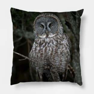 Great Gray Owl Pillow