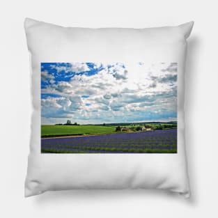 Lavender Field Purple Flowers Cotswolds UK Pillow