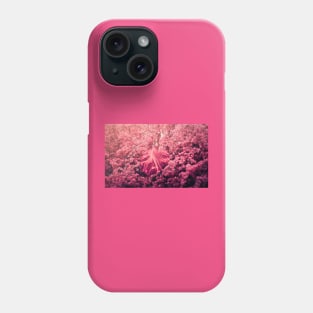 Aprodite Phone Case