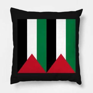 Palestine Pillow