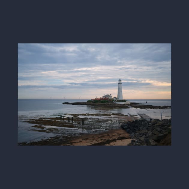 St Mary's Island and Lighthouse in August by Violaman