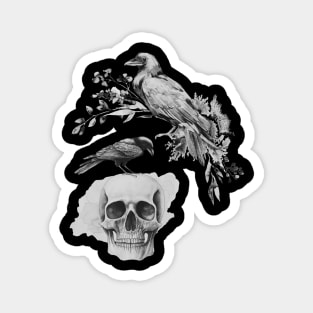 skull with ravens Magnet