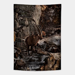 Ibex On Snow Covered Rocks Tapestry