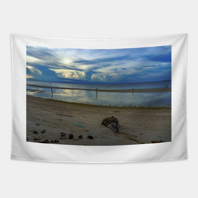Siquijor Island Philippines Tapestry by likbatonboot
