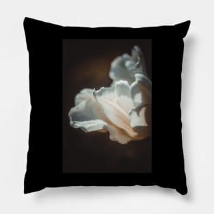 White tulip flower. Pillow