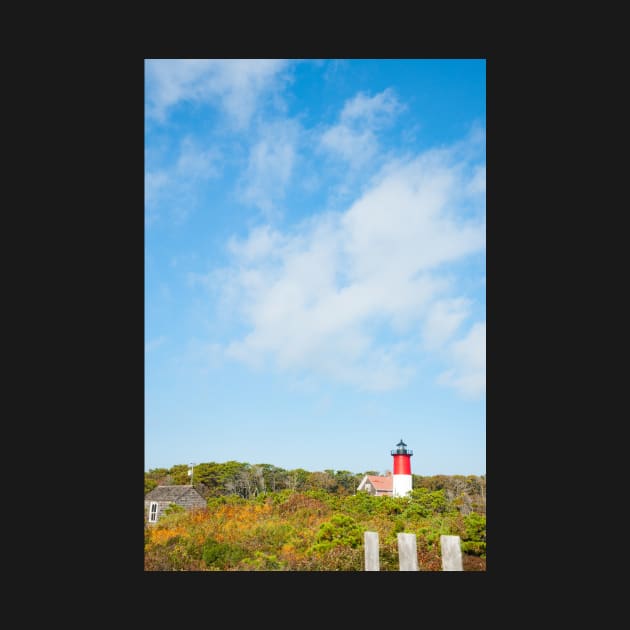 Nauset Beach,  Seashore and lighthouse. Cape Cod, USA.  imagine this on a  card or as wall art fine art canvas or framed print on your wall by brians101