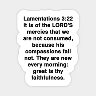 Lamentations 3:22 King James Version Bible Verse Typography Magnet