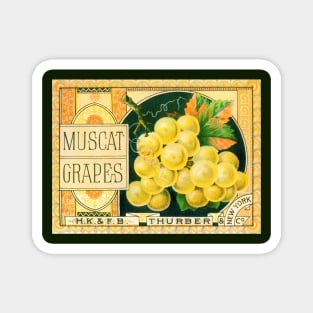 Vintage Muscat Grapes Thurber Fruit Crate Label Magnet