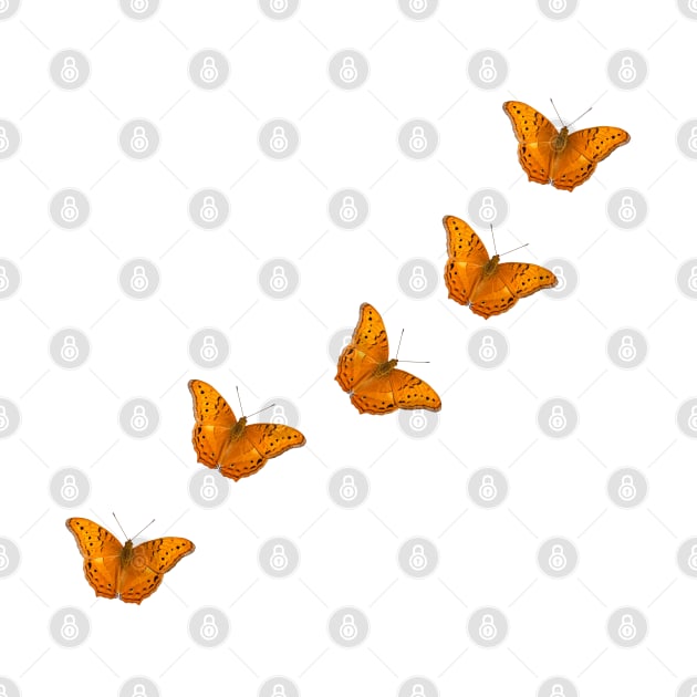 Beautiful butterflies on a textured white background by hereswendy