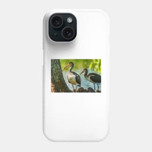 American white ibis in Gatorland Phone Case