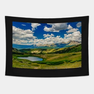 Cottonwood Pass Tapestry