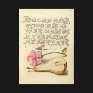 Illuminated manuscript: Mayfly, Red Campion, and Pear, from "Mira calligraphiae monumenta", 1500s, cleaned and restored T-Shirt