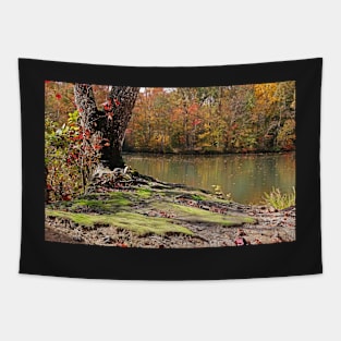 Virginia Fall Tapestry