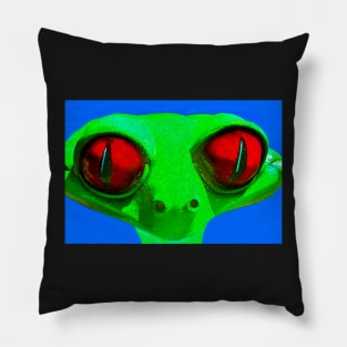 Happy Frog Pillow