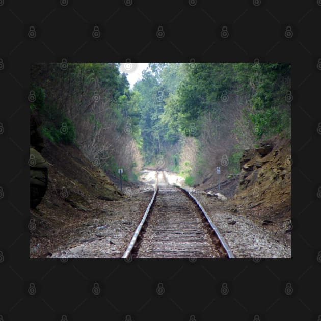 Perspective Cool Train Track Photography Mountain Side Railroad Art by tamdevo1