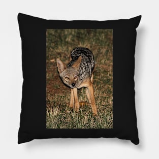 Side-striped Jackal at Night Pillow