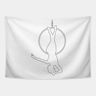 Aerial hoop lyra Tapestry