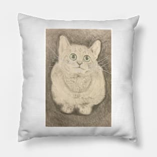 Cat fixation Pillow