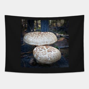 Mushrooms Tapestry