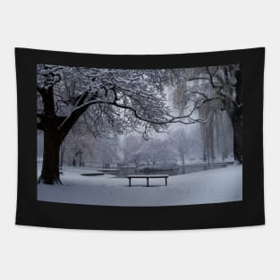 Snowy Tree The Public Garden Boston MA Bench Tapestry