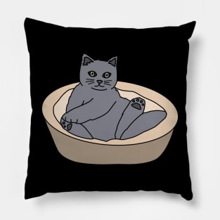 Gray Cat Pillow