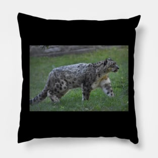 Snow Leopard Pillow