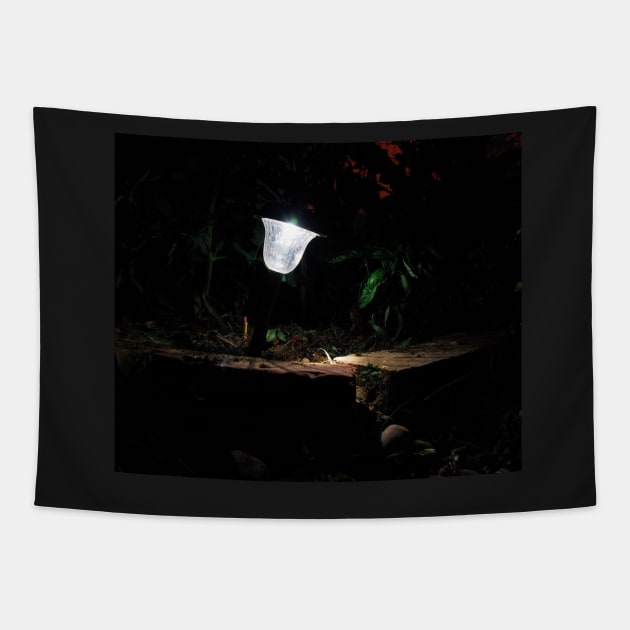 Garden Solar Light in the Dark Tapestry by jojobob