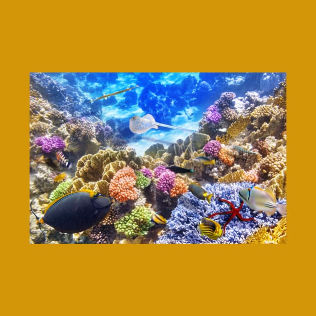 Underwater world coral reef photography by HANART