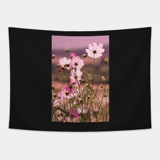 Wild pink meadow flowers III, spring nature photography Tapestry