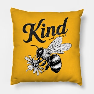 Be Kind Of A Bitch Funny Sarcastic Quote Pillow