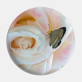 Butterfly on pink rose Pin