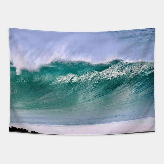 solo wave Tapestry by terezadelpilar