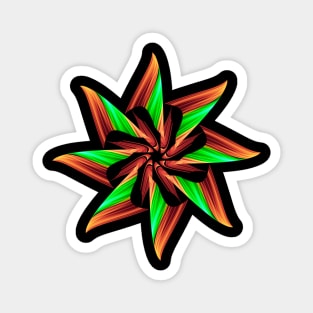 Christmas star Magnet