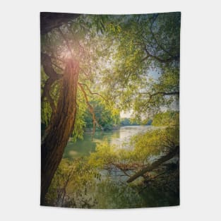 willow trees growing above the water Tapestry