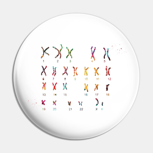 Male Chromosome idiogram Pin by erzebeth