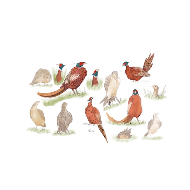 Wild british Pheasant  studies by Midsea 