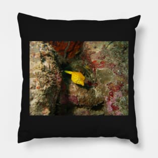 Yellow Boxfish Pillow