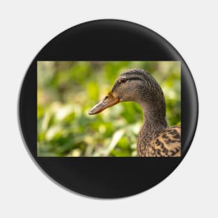 Female mallard duck portrait Pin