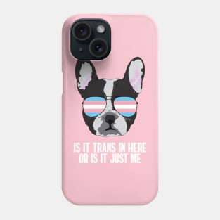 Funny IS IT TRANS IN HERE OR IS IT JUST ME - Boston Terrier Dog Trans Pride Flag Phone Case