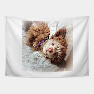 Little Toy Poodle Puppy Tapestry