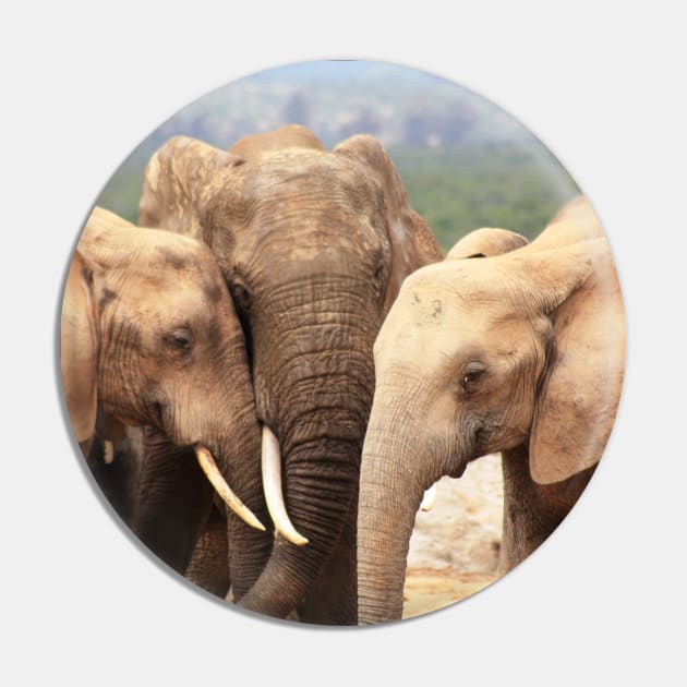 African Wildlife Photography Elephant Family Pin by PathblazerStudios