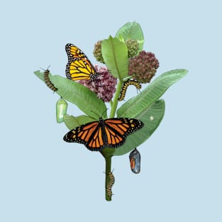 Monarch Lifecycle Egg Caterpillar Chrysalis Butterfly T-Shirt