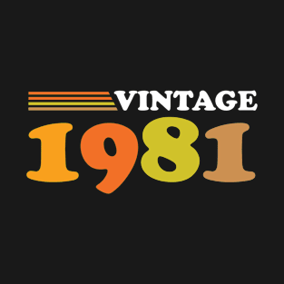 Vintage 1981, 41st Birthday Gift T-Shirt