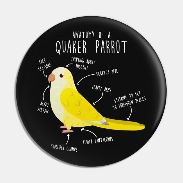 Anatomy of a Lutino Quaker Parrot Pin by Psitta