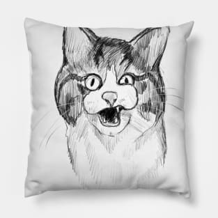 Face cat Pillow