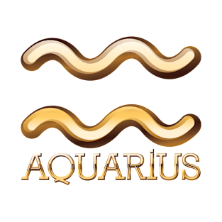 Aquarius T-Shirt